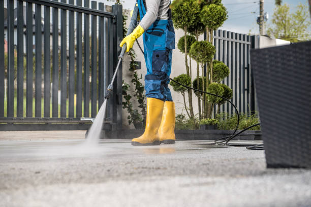 Reliable Temple Terrace, FL Pressure washing Solutions